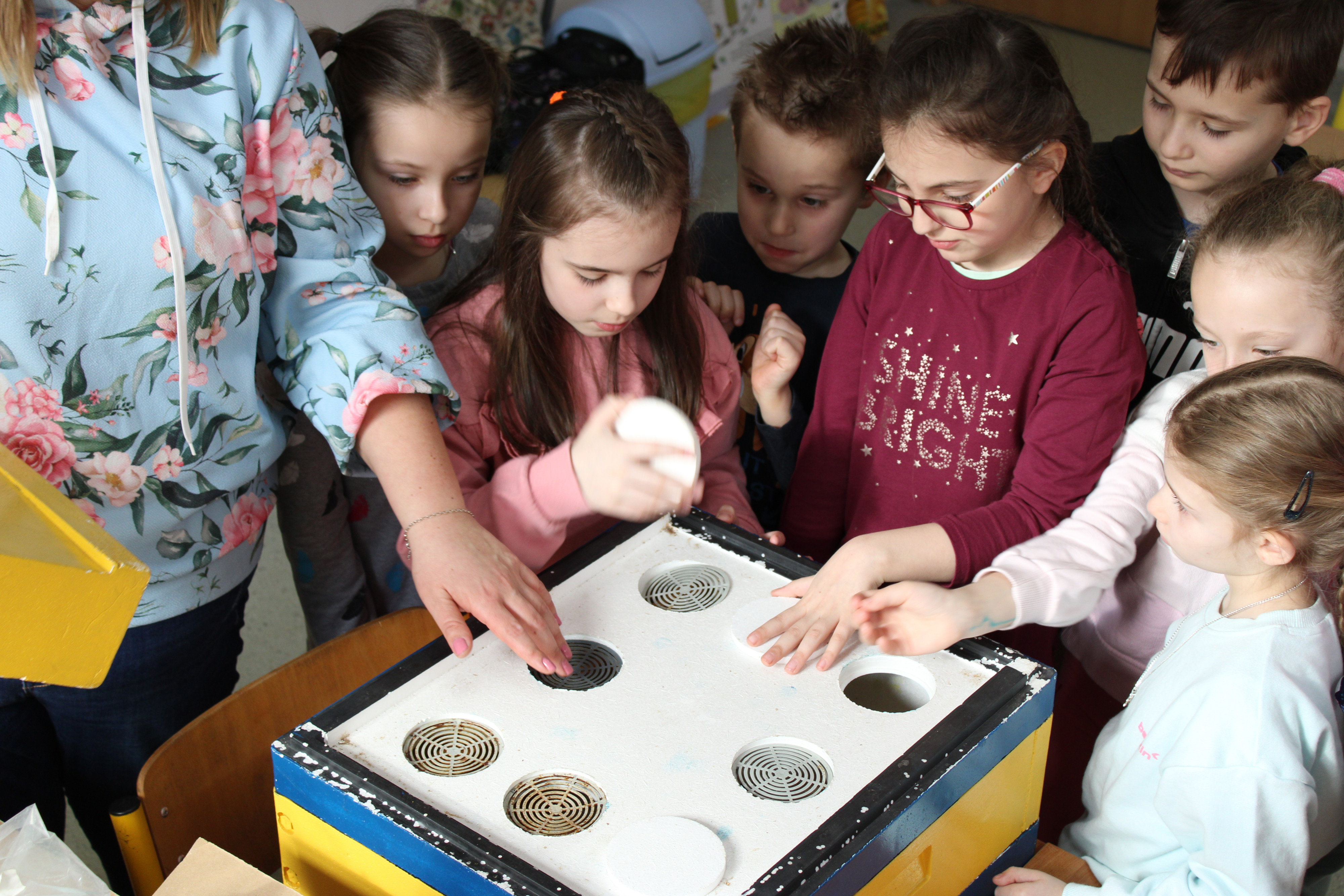 Warsztaty mydlarskie i pszczelarskie